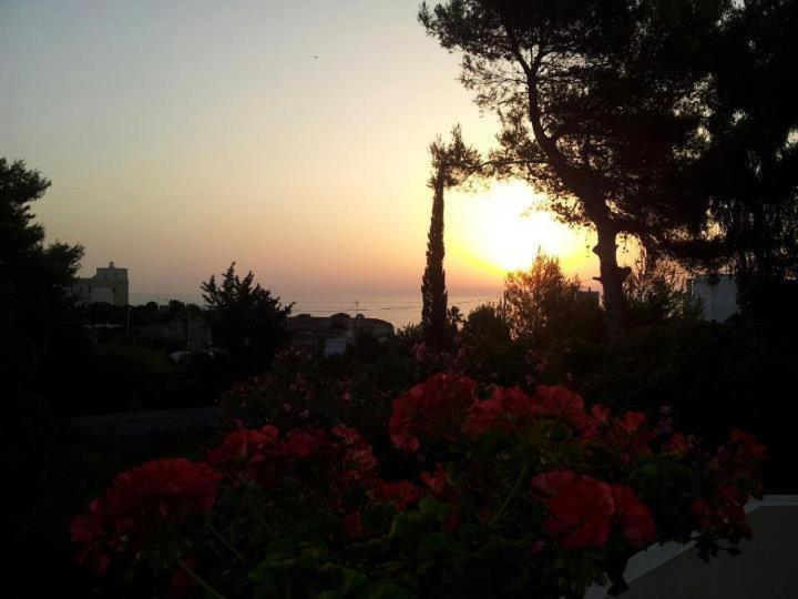 Villa Flora Studios & Apartments Conca Specchiulla Ngoại thất bức ảnh